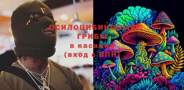 твердый Абаза