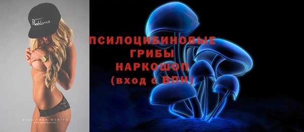 твердый Абаза