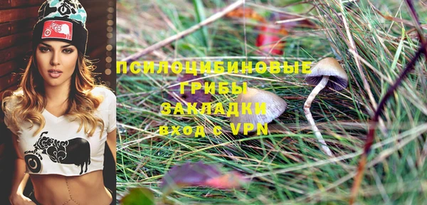 первитин Протвино