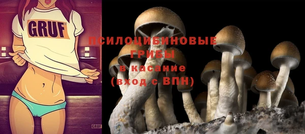 твердый Абаза
