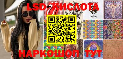 шишки Лесосибирск