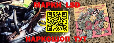 шишки Лесосибирск
