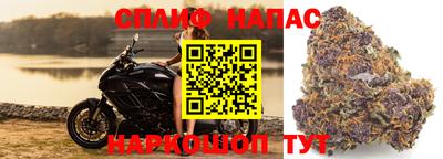 шишки Лесосибирск