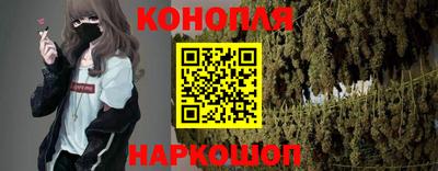 шишки Лесосибирск