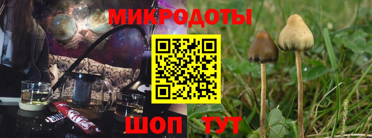 Анапа  Псилоцибиновые грибы ЛСД  Вход с VPN 